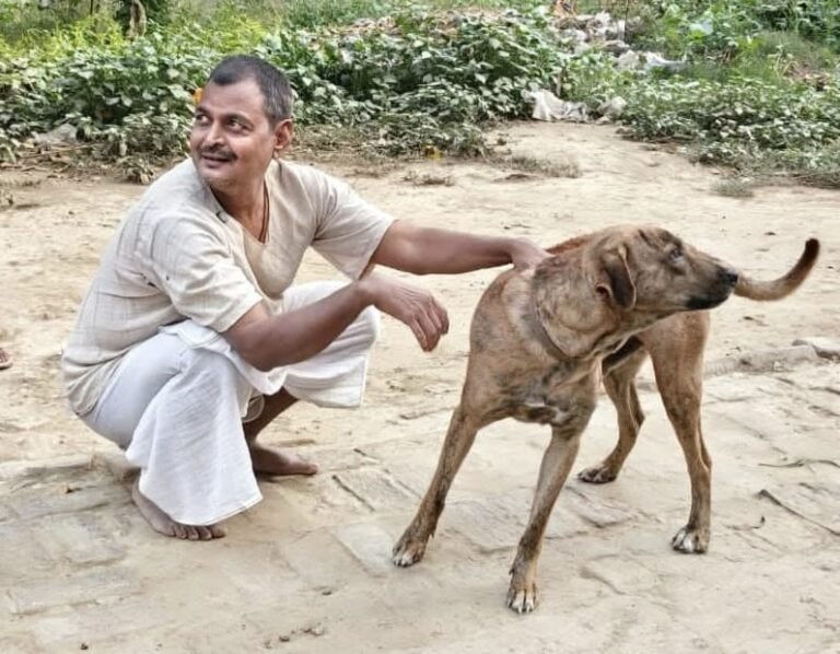 फोटो - जोहार संथाल डेस्क