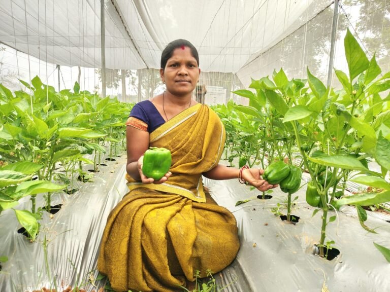 फोटो - पीआरडी गुमला