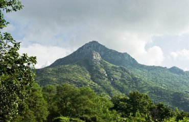 फोटो - बोकारो जिला प्रशासन